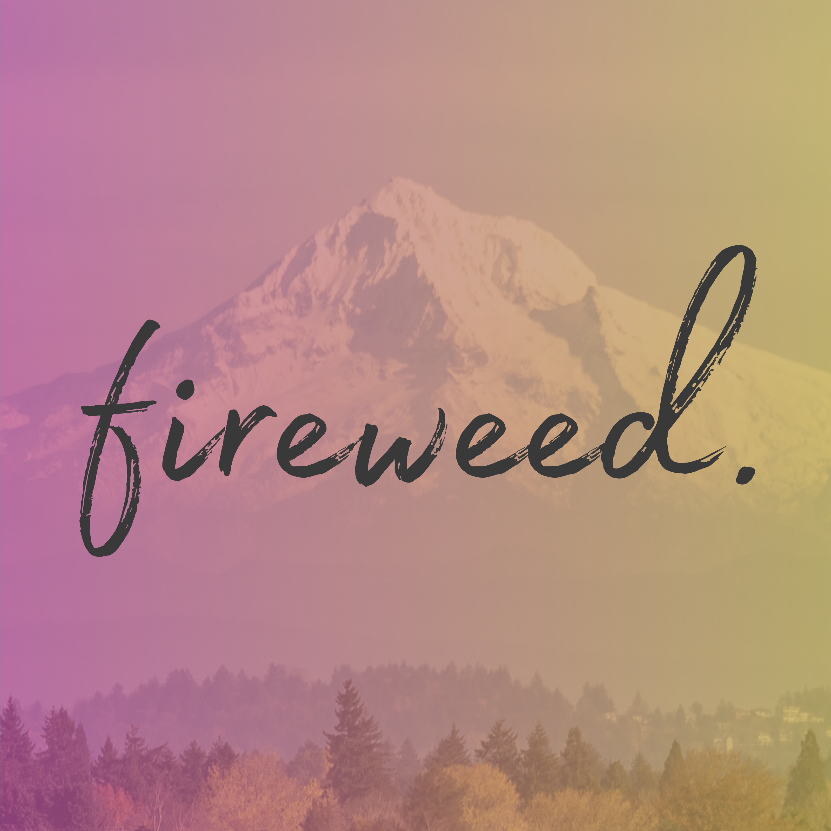 "Fireweed." handpainted across the landscape picture of Mt. Hood, Oregon. A gradient filter splashes vibrant hues of yellow and pink.